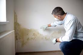 Best Environmental Consulting for Mold Prevention  in Ross, OH